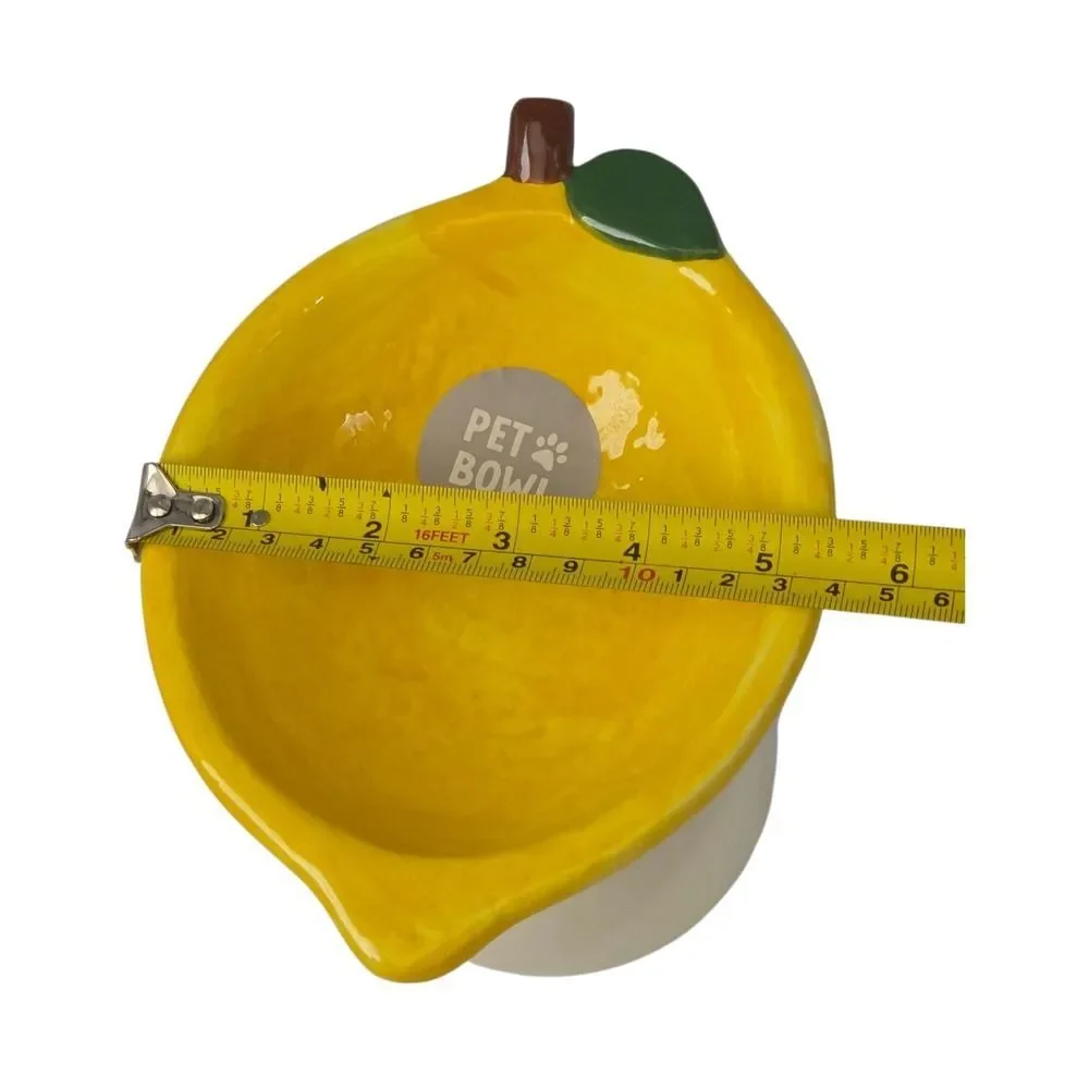 Rockybear Pet Tilted And Elevated Cat Drinking Water Bowl Lemon‎ Pattern 6